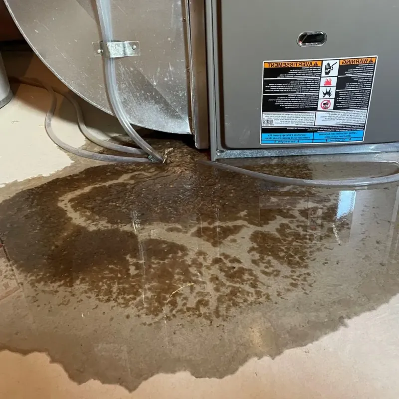 Pipe Burst and Leak Restoration in Reeves County, TX