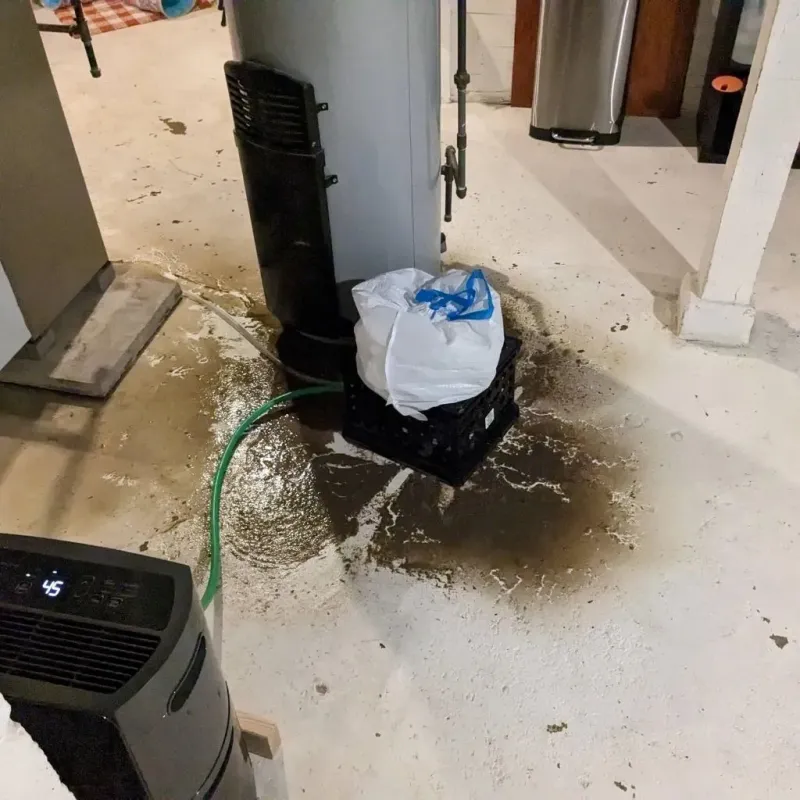 Sewage Backup Cleanup Service in Reeves County, TX